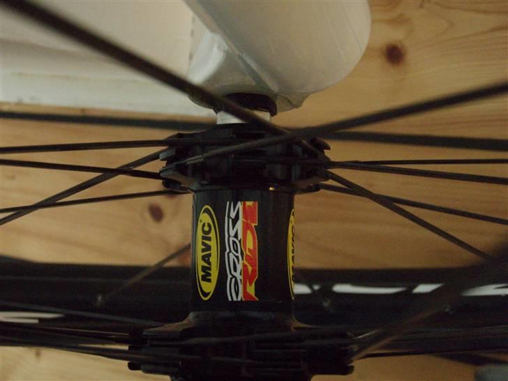 Scott scale 30  08` billede 10