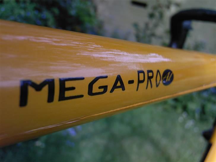 Bianchi Mega Pro billede 2