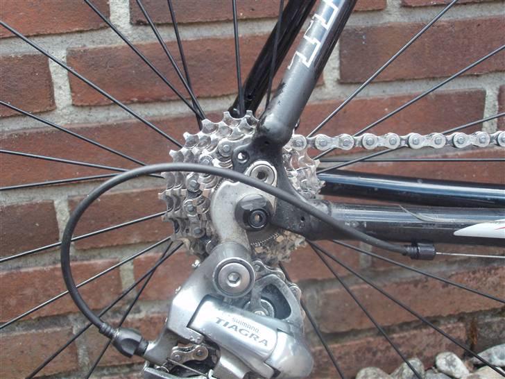 Trek 1000 Tiagra billede 5