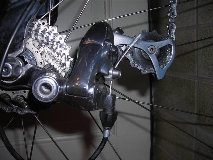 Pinarello Paris billede 3