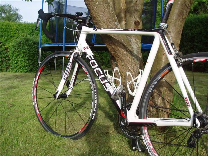 Focus Focus Cayo pro billede 1