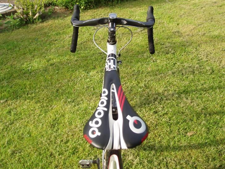 Focus Focus Cayo pro billede 2