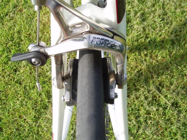 Focus Focus Cayo pro billede 3