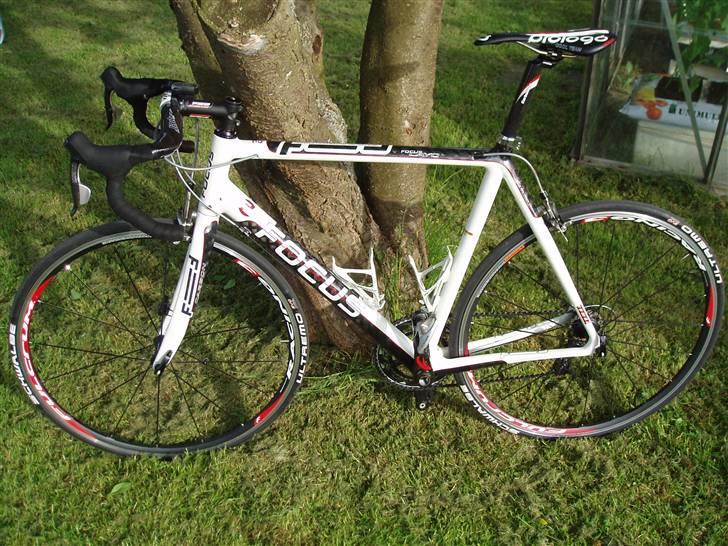 Focus Focus Cayo pro billede 4