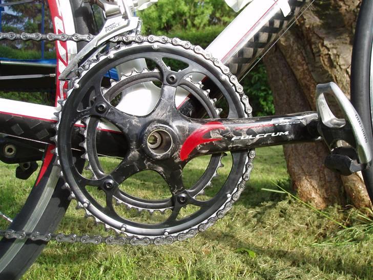 Focus Focus Cayo pro billede 5