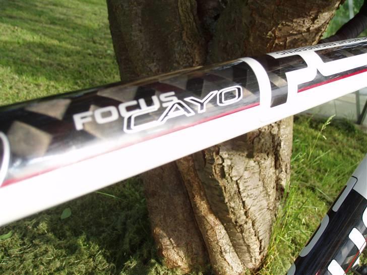 Focus Focus Cayo pro billede 7