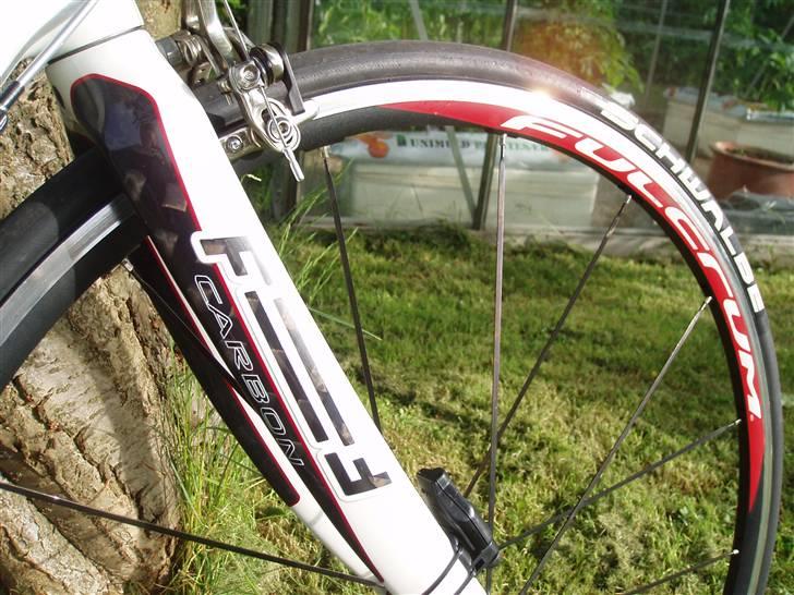 Focus Focus Cayo pro billede 8