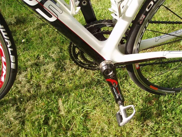 Focus Focus Cayo pro billede 11
