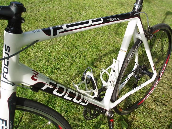 Focus Focus Cayo pro billede 12