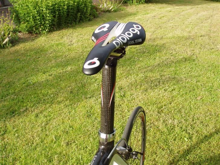 Focus Focus Cayo pro billede 13