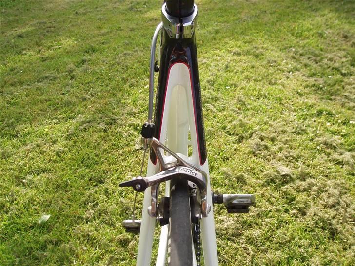 Focus Focus Cayo pro billede 15