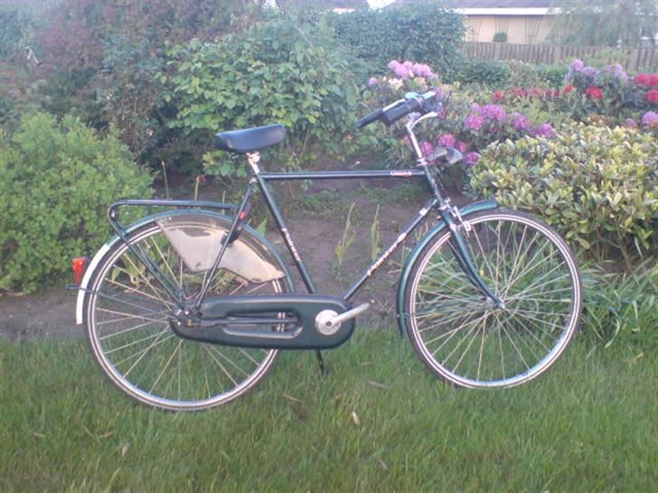 Panther Pointer Classica billede 1