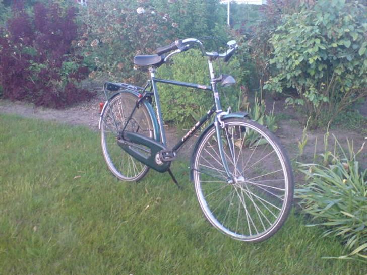 Panther Pointer Classica billede 2