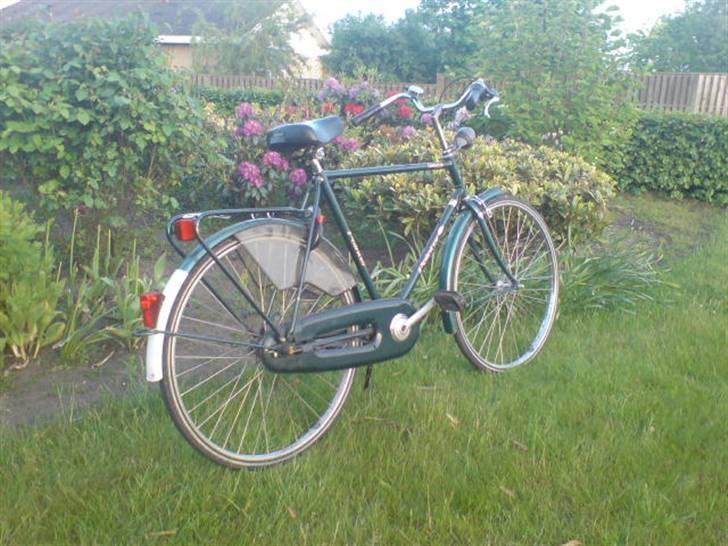 Panther Pointer Classica billede 3