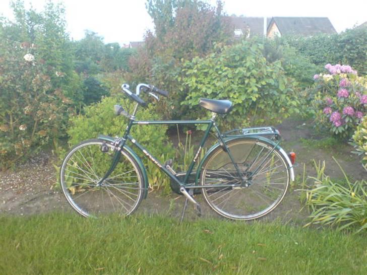 Panther Pointer Classica billede 4