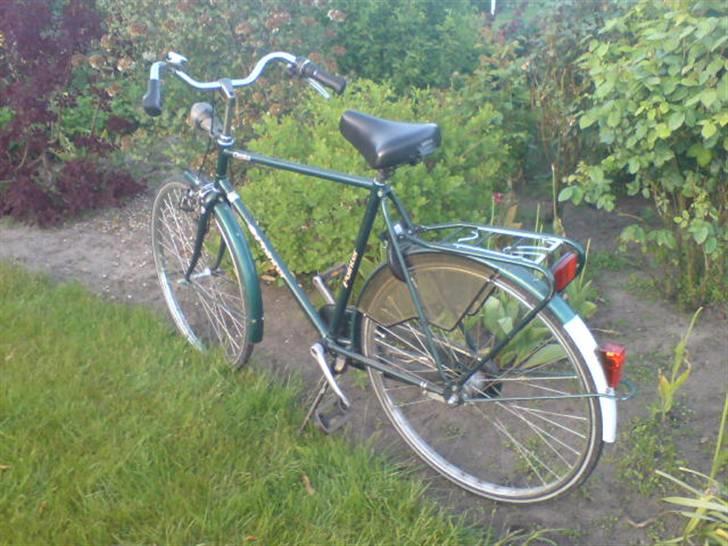 Panther Pointer Classica billede 5