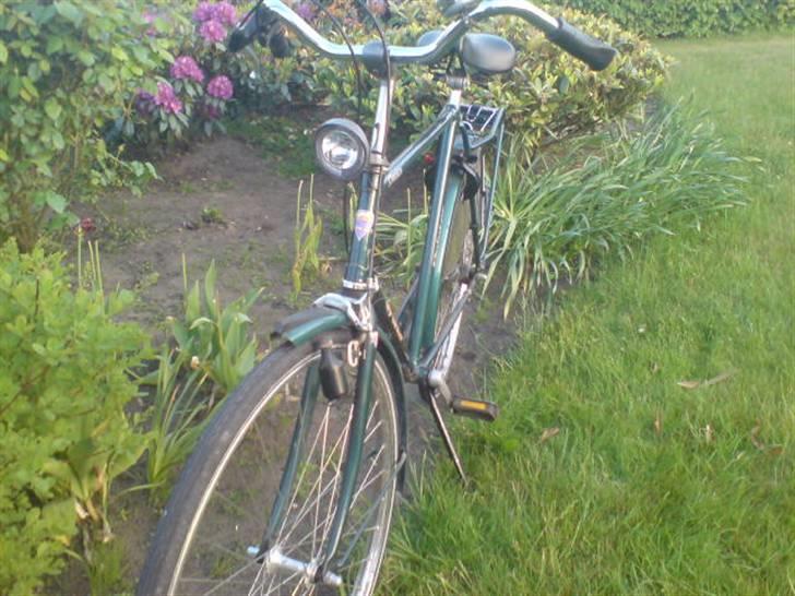 Panther Pointer Classica billede 6