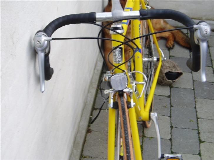 Peugeot Performance Preisler billede 4