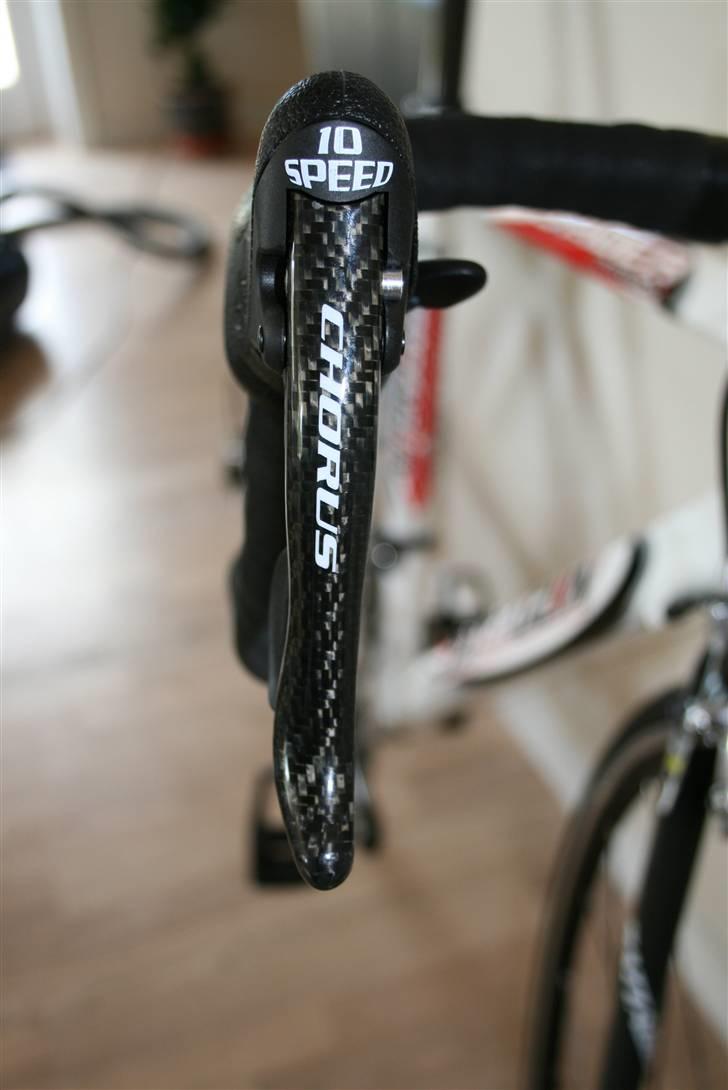 Battaglin Battaglin Spider Chorus/C billede 10