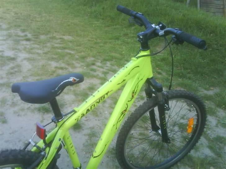 Taarnby diablo billede 6