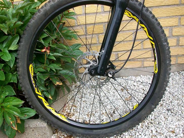 Nishiki  hart dirt disc /  billede 11
