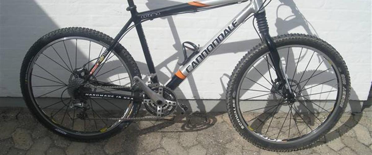 cannondale optimo price