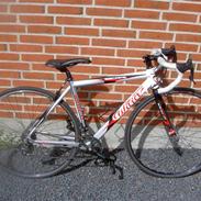 Wilier Escape