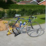 Bianchi mega pro - L ( til salg )