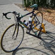Bianchi mega pro - L ( til salg )
