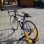 Bianchi mega pro - L ( til salg )