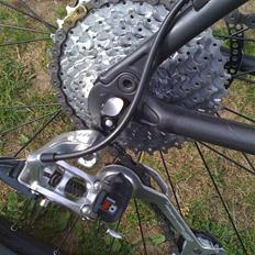 Trek Hardtail 9.8