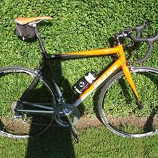 Giant TCR A1