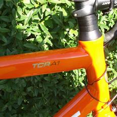 Giant TCR A1