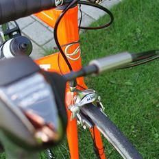 Giant TCR A1
