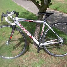 Wilier Escape