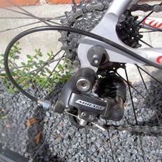 Wilier Escape