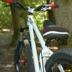 NS Bikes suburban