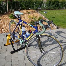 Bianchi mega pro - L ( til salg )