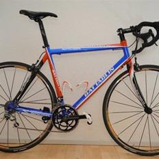 Battaglin Spider Carbon