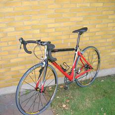 Giant TCR C2