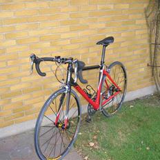 Giant TCR C2