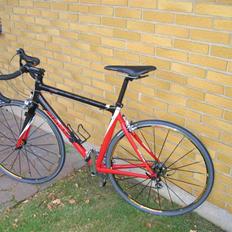 Giant TCR C2