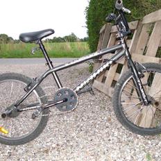 Nishiki Twist