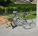 Bianchi mega pro - L ( til salg )