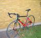 Giant TCR C2 