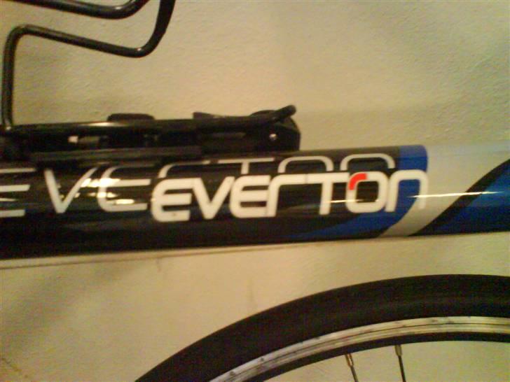 Everton 600 billede 7