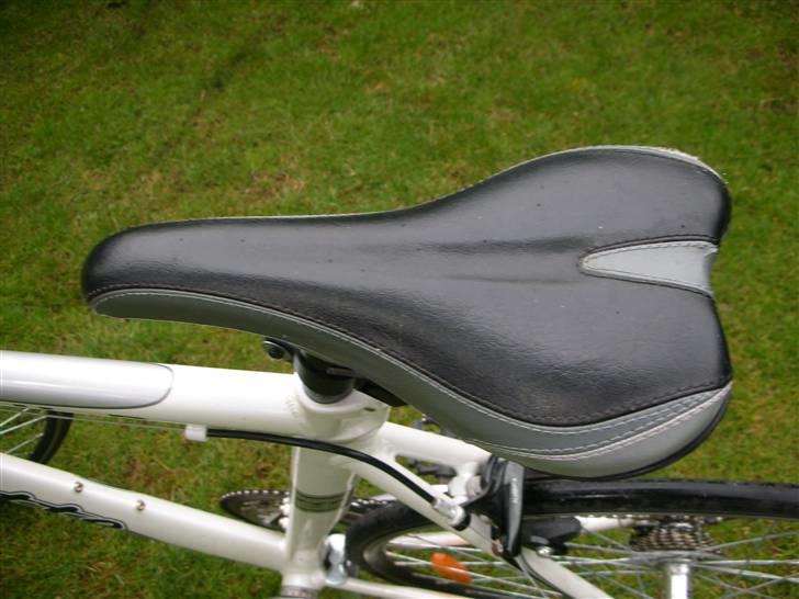 Busetto Compline Pro Tour TILSALG billede 3