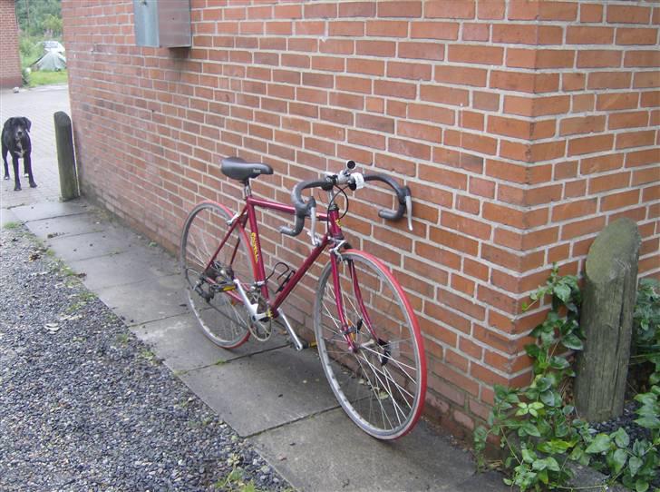 Bugatti Pro x 400 billede 1