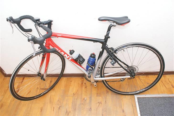 Giant SCR3 - Min racer forfra billede 1
