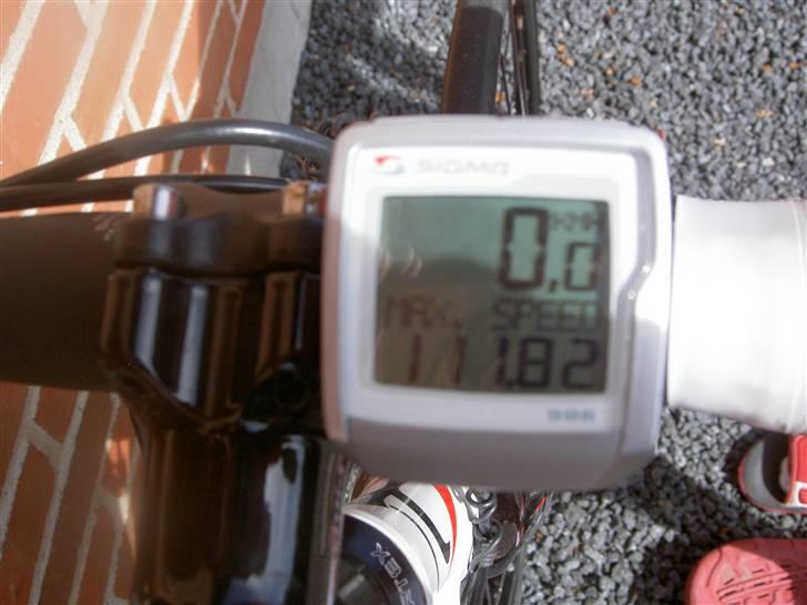 Wilier Escape billede 11